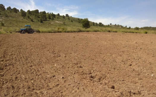 0 Bed Plot for Sale in Yecla, Murcia