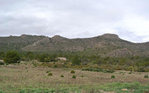 0 Bed Plot for Sale in Yecla, Murcia