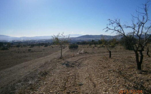 0 Bed Plot for Sale in Yecla, Murcia