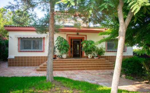 5 bedroom House in Molina De Segura