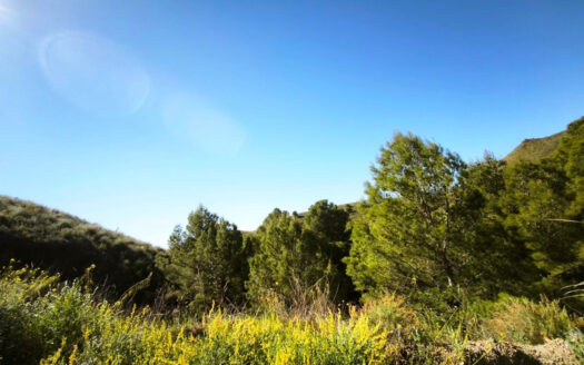 0 Bed Plot for Sale in Lorca, Murcia